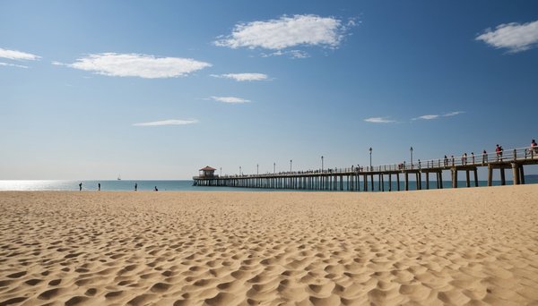 Vivre une expérience nature unique à arcachon
